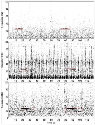 Beyond counting calls: estimating detection probability for Antarctic blue whales reveals biological trends in seasonal calling